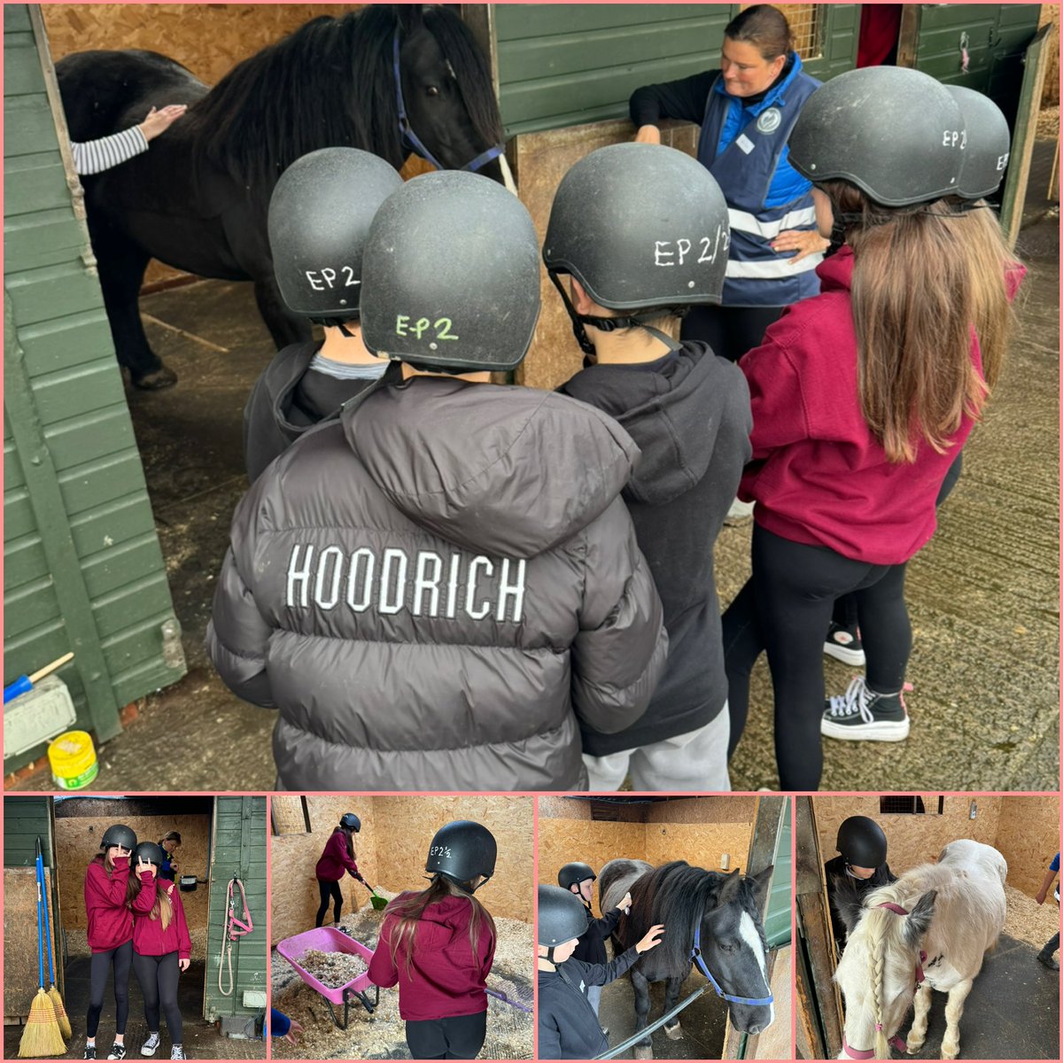 Our S2 nurture pupils having a blast during week 1 of their level 1 Horse Care program. 🐴🩷