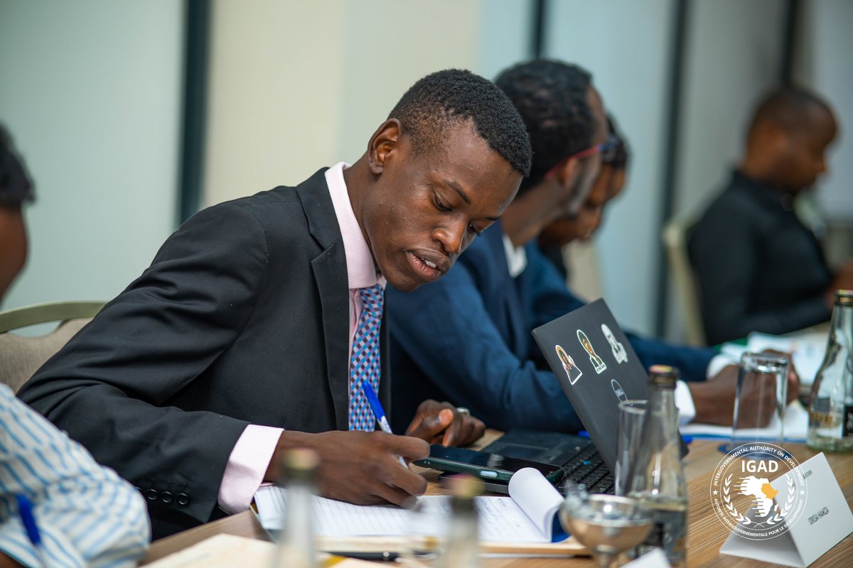 PoliticalAffairs,Mediation&PeaceBuilding tweet media
