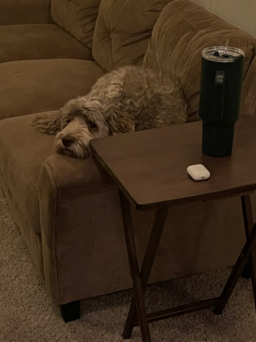 karrie_joy's tweet photo. Treadmill miles this morning, bc it’s stupid dark and rainy. Tucker was less than thrilled…..same buddy! But he was very helpful when I laid on the floor to do core work 🙄😂💙🐕
#coffeetogether
#itsgonnabeagreatday
#soon
#chooseyou
#choosehappy https://t.co/k8NKhqencF