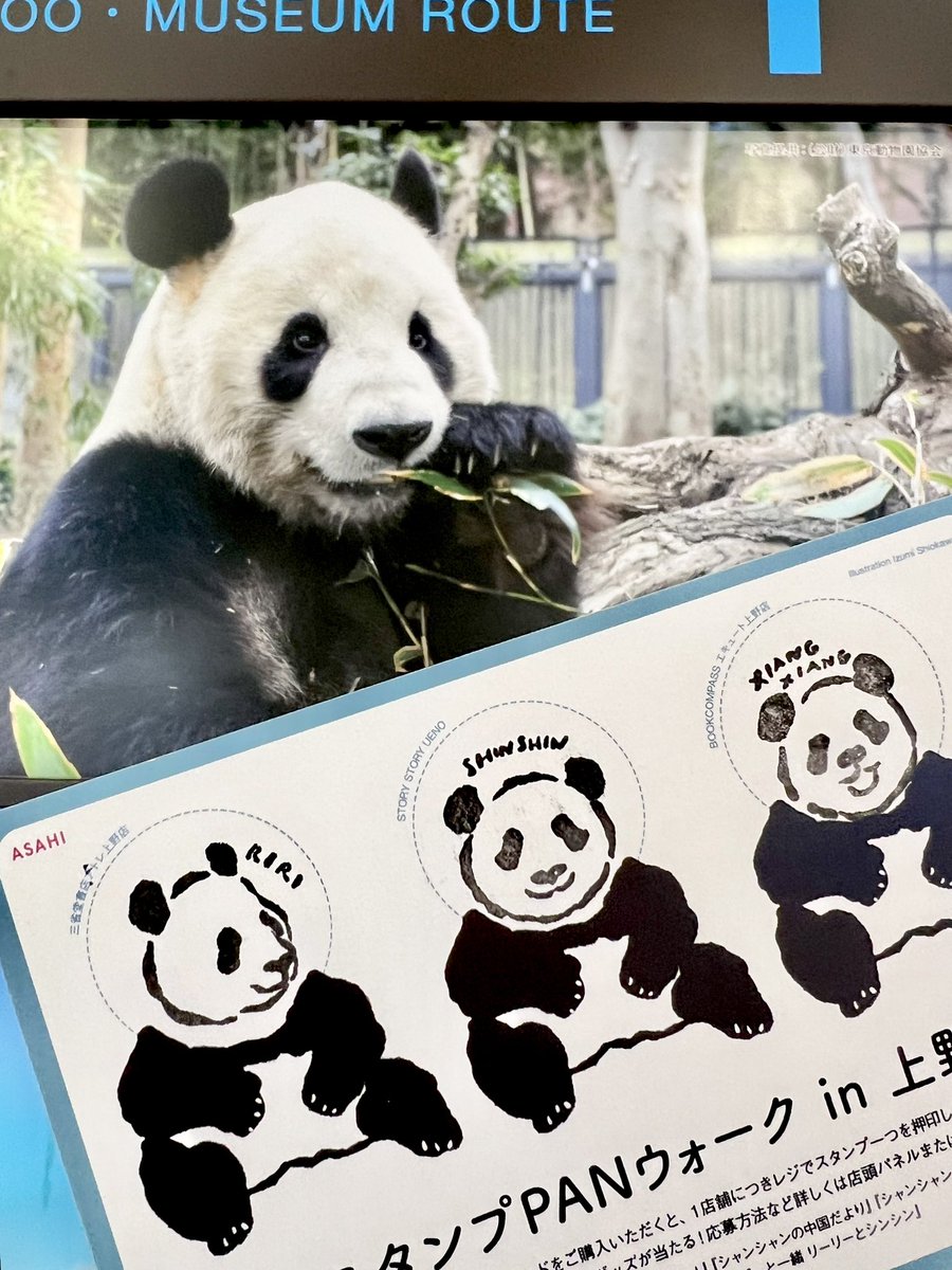 パンダページ WWF1961 クラシックパンダシリーズ – WWFジャパン