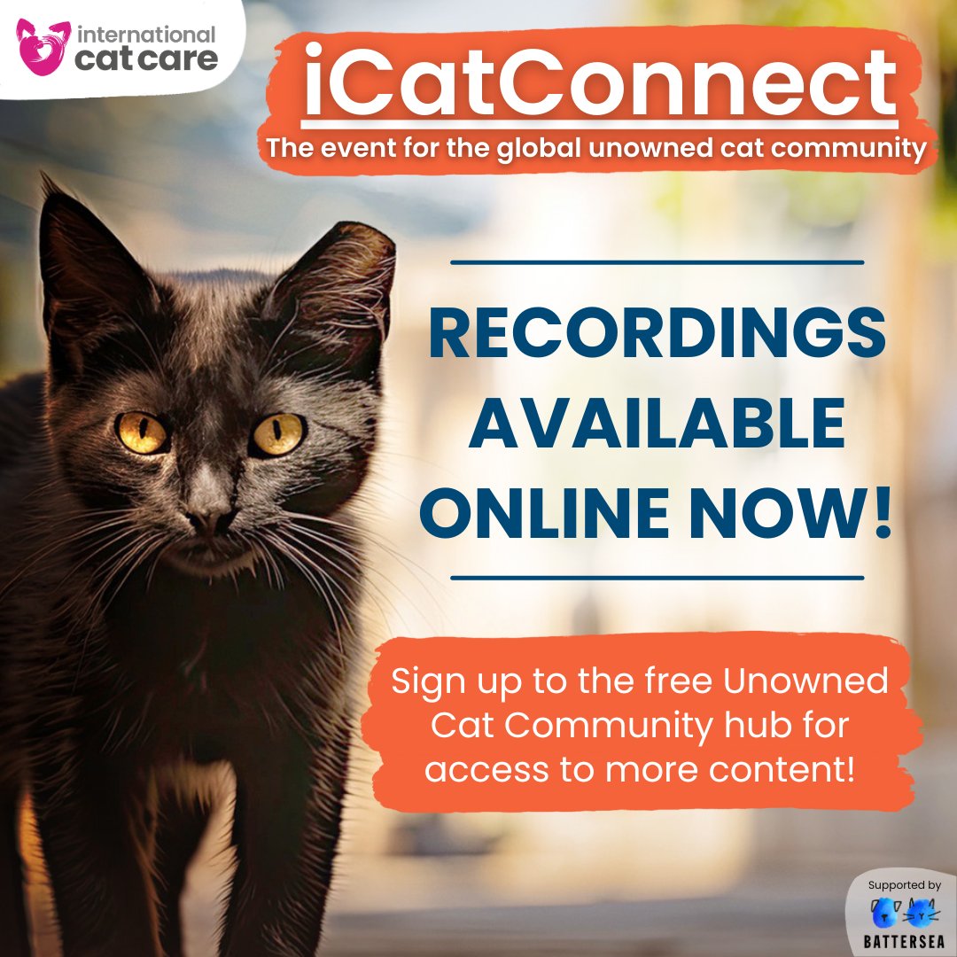 International Cat Care (@icatcare) on Twitter photo ๐ป Recordings from our two-day virtual event #iCatConnect are now available online and on-demand! ๐ป Supported by <a href="/Battersea_/">Battersea</a>
๐ Sign up to our free Unowned Cat Community hub to gain access to this and more! ๐ย portal.icatcare.org/register
Translations in coming soon!
#UnownedCats ๐ป Recordings from our two-day virtual event #iCatConnect are now available online and on-demand! ๐ป Supported by <a href="/Battersea_/">Battersea</a>
๐ Sign up to our free Unowned Cat Community hub to gain access to this and more! ๐ย portal.icatcare.org/register
Translations in coming soon!
#UnownedCats