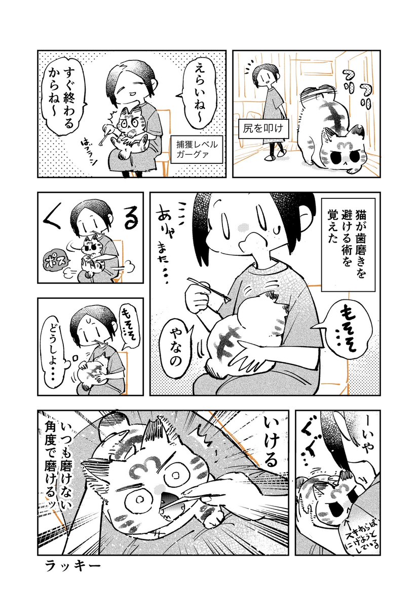 3本足のしじみちゃん227 
