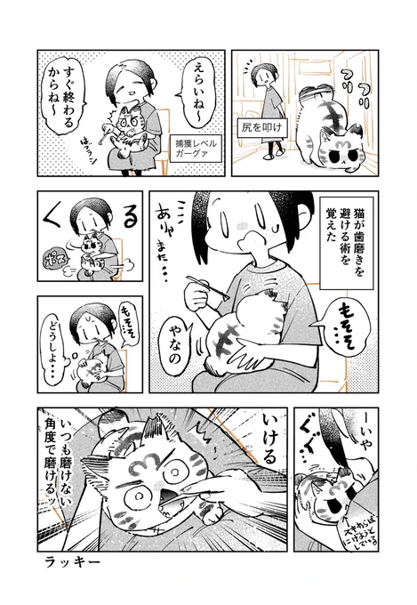 3本足のしじみちゃん227 