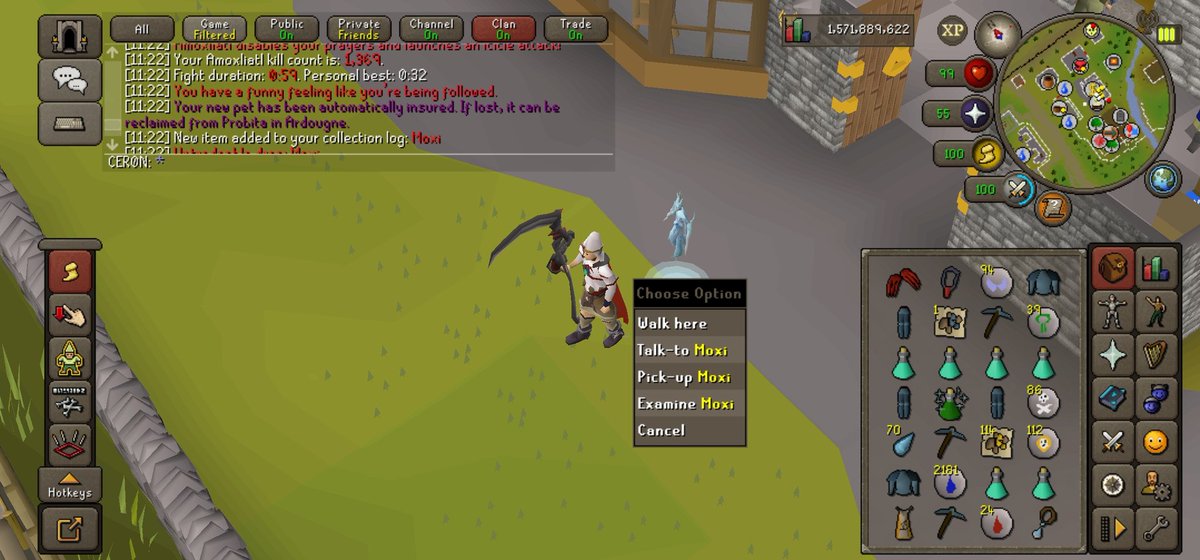 Pet #35 Moxi👌🏻🥄