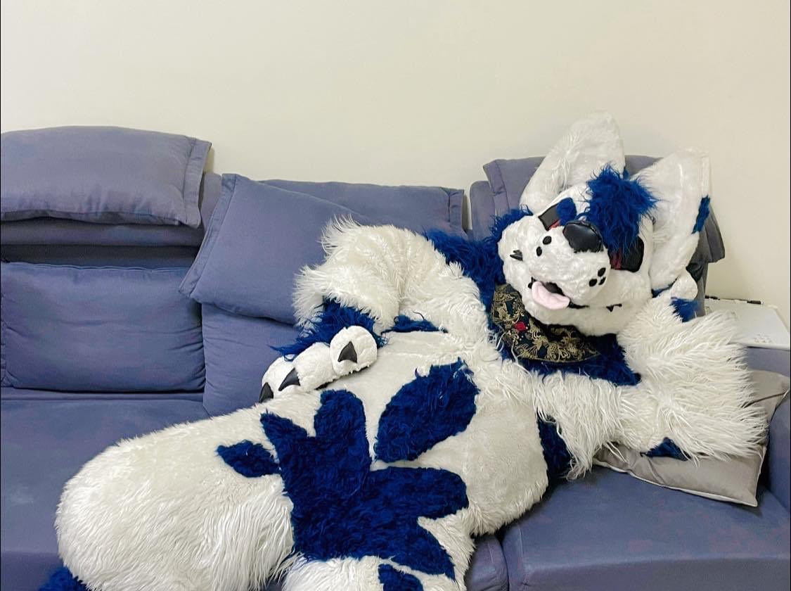 来ないの？
#FursuitFriday