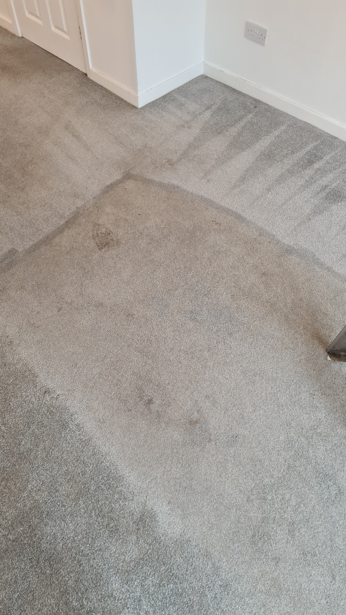 dmcarpetclean's tweet image. From high-traffic areas to deep-clean perfection! Cardiff’s favorite carpet care at work. 👌 #CardiffCommunity #DMCleanResults #FreshFeels
