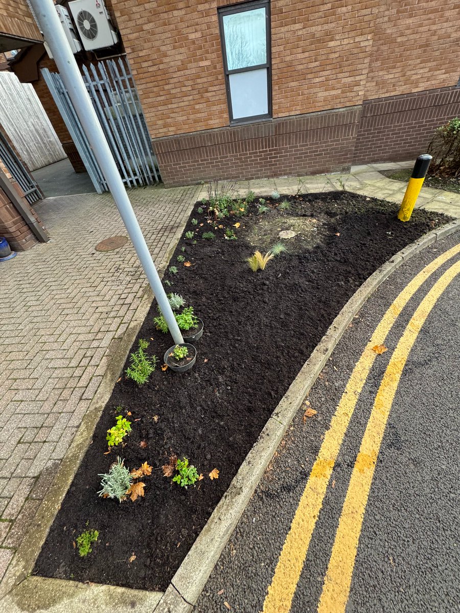 Myplace (@myplace2gr0w) on Twitter photo We're collaborating with patients and staff at Chorley Hospital to transform a patch outside the mental health wards into a sensory garden. 🌻 Take a look at the progress so far! 😊
<a href="/WeAreLSCFT/">Lancashire & South Cumbria NHS Foundation Trust</a> <a href="/LSCICB/">Lancashire and South Cumbria ICB</a> <a href="/Lancswildlife/">Lancashire Wildlife Trust</a> <a href="/springnorthHQ/">Spring North</a> <a href="/LancsHospitals/">Chorley & Royal Preston</a> <a href="/ChorleyCouncil/">Chorley Council</a> We're collaborating with patients and staff at Chorley Hospital to transform a patch outside the mental health wards into a sensory garden. 🌻 Take a look at the progress so far! 😊
<a href="/WeAreLSCFT/">Lancashire & South Cumbria NHS Foundation Trust</a> <a href="/LSCICB/">Lancashire and South Cumbria ICB</a> <a href="/Lancswildlife/">Lancashire Wildlife Trust</a> <a href="/springnorthHQ/">Spring North</a> <a href="/LancsHospitals/">Chorley & Royal Preston</a> <a href="/ChorleyCouncil/">Chorley Council</a>