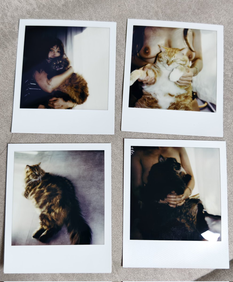 Today
爱与猫猫不可或缺❤

📷 @zaoyang111 

@Fengsiyuan https://t.co/59U4yyajSY