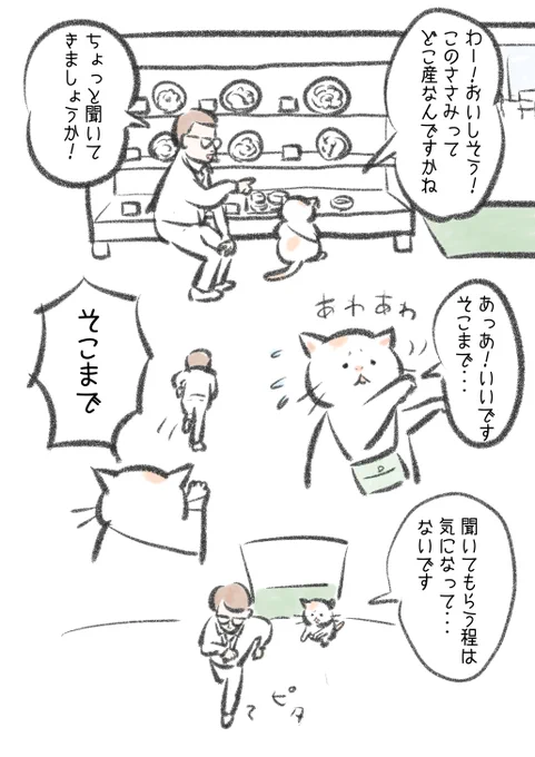 ささみ猫。 