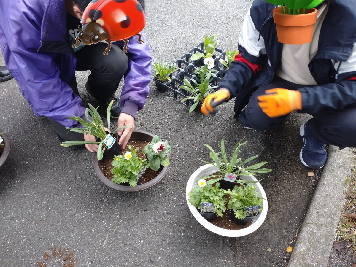 MKTP48's tweet photo. 今日は学内にてプランターへの植栽を行いました！種類はパンジー、ビオラ、ヤグルマソウ、キンセンカ、ノースポールの5種類！みんなで美しく定植することができました！暮らしを彩るお花。花があるだけで様々な効果が期待できます！
今後は灌水などの管理を行い、トリミングした花でしおりを作ります🌼 https://t.co/Z9QtYU3g4k