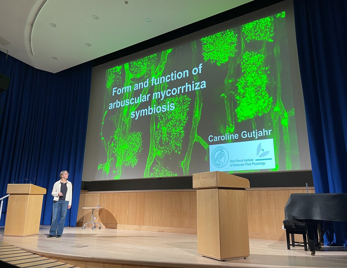 Sophien Kamoun (@kamounlab) on Twitter photo Today’s Friday seminar speaker <a href="/TheSainsburyLab/">The Sainsbury Laboratory</a> <a href="/JohnInnesCentre/">John Innes Centre</a> is all about symbiosis between fungi and plants: Caroline Gutjahr at Max Planck Institute of Molecular Plant Physiology mpimp-golm.mpg.de/2724220/dept_9 Today’s Friday seminar speaker <a href="/TheSainsburyLab/">The Sainsbury Laboratory</a> <a href="/JohnInnesCentre/">John Innes Centre</a> is all about symbiosis between fungi and plants: Caroline Gutjahr at Max Planck Institute of Molecular Plant Physiology mpimp-golm.mpg.de/2724220/dept_9