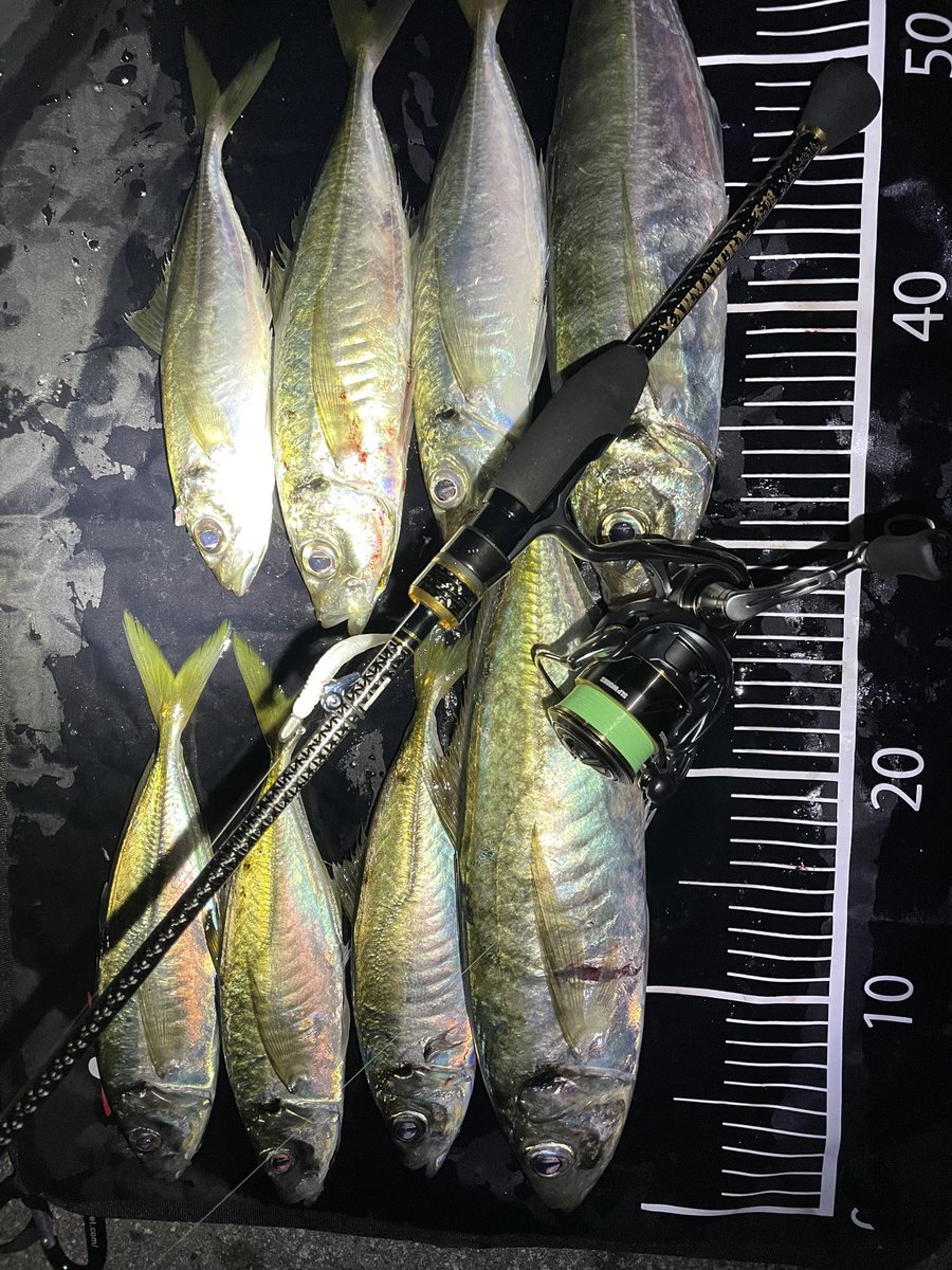 KESUUYU_'s tweet photo. そういえば、時合い5分をモノにしてギガアジ釣れたンゴ🫸🫷 https://t.co/9AWqthNXr7