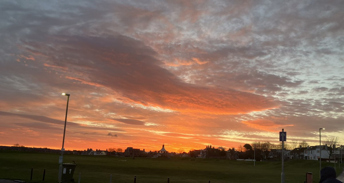 Elizabeth McDonald tweet media