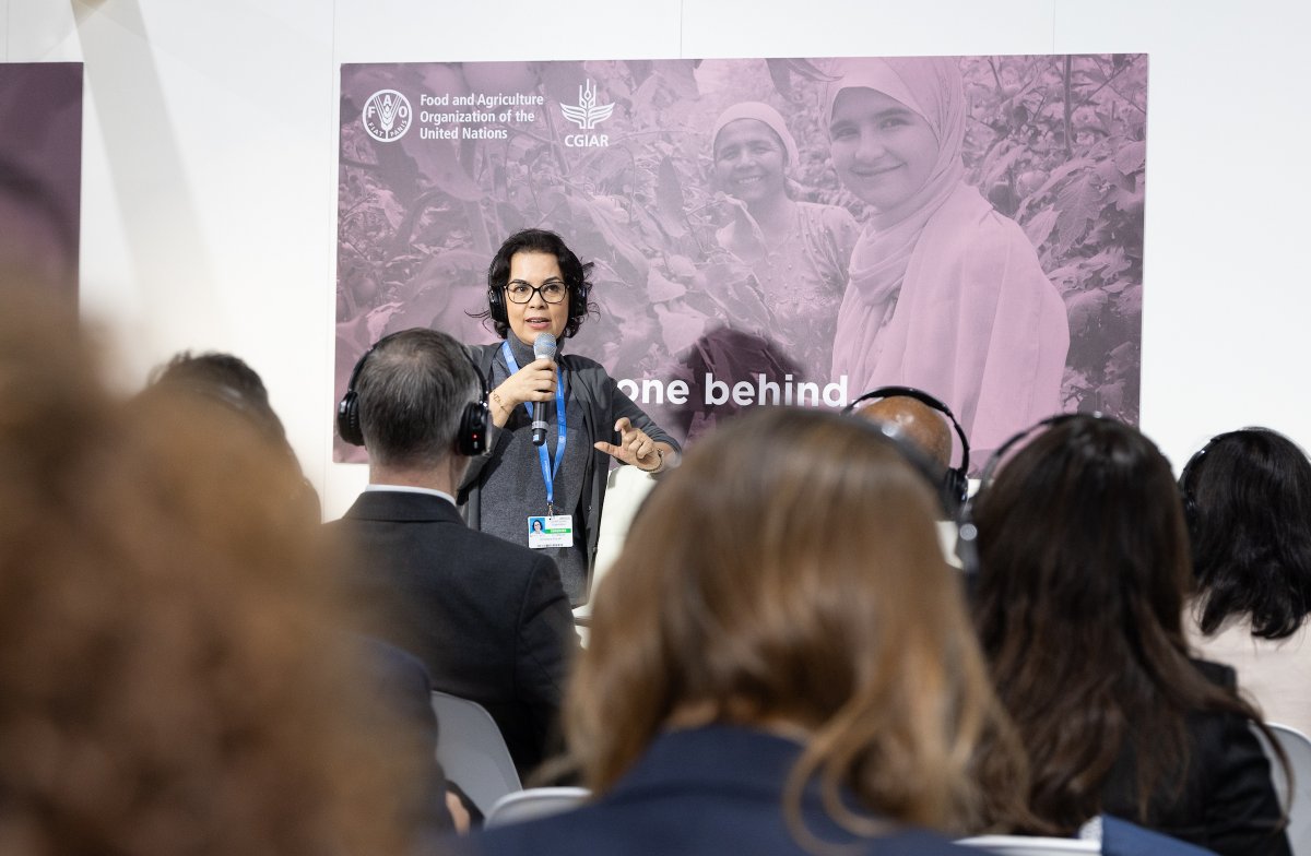 Ismahane Elouafi tweet media