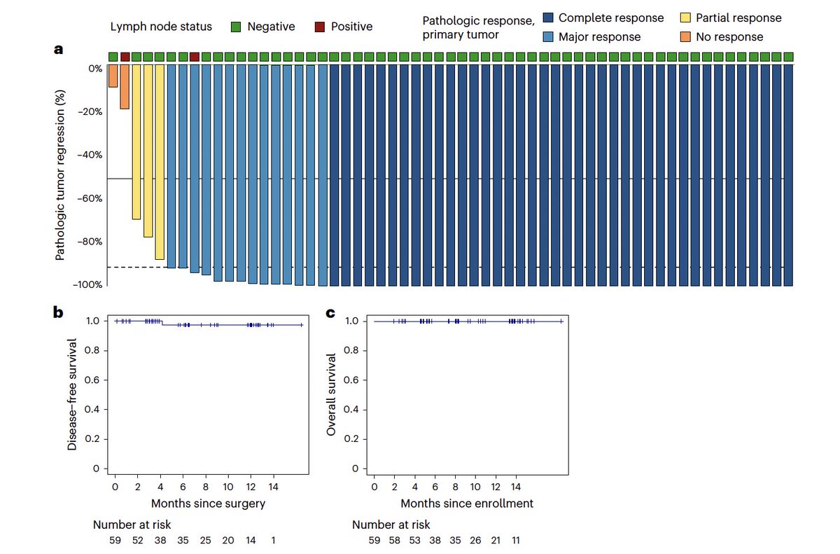 Neoadjuvant nivolumab &amp; relatlimab in locally advanced MSI CRC
<a href="/NatureMedicine/">Nature Medicine</a> 
doi.org/10.1038/s41591…
🔎NICHE-3 phs 2 
👉PR 97%, MPR 92%, pCR 68%
👉only one recurrence
👉Gr 3–4 irAEs 10%
💪Impressive, we need to find the most effective, least toxic combination
<a href="/myESMO/">ESMO - Eur. Oncology</a>