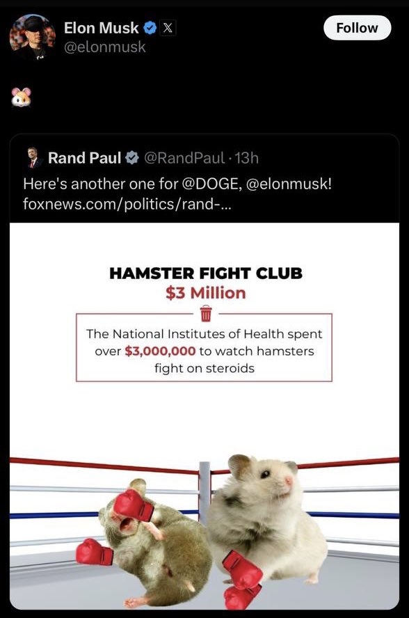 Hamster Kombat tweet media