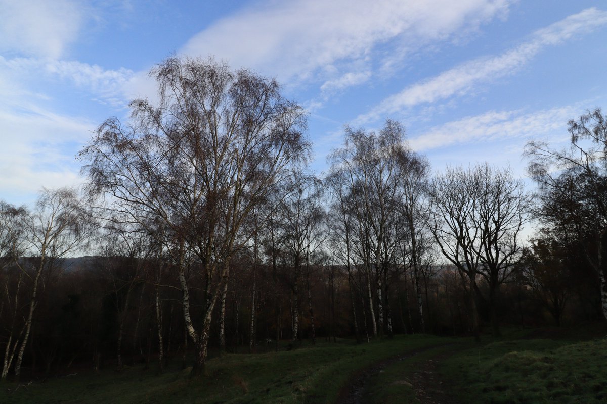 lanxmak's tweet photo. Little stroll through some local woods the other day. I often wonder about the people who used these old roads. In this case, probably folks on their way to church (Holy Trinity, Colton). https://t.co/P05WetIcGr