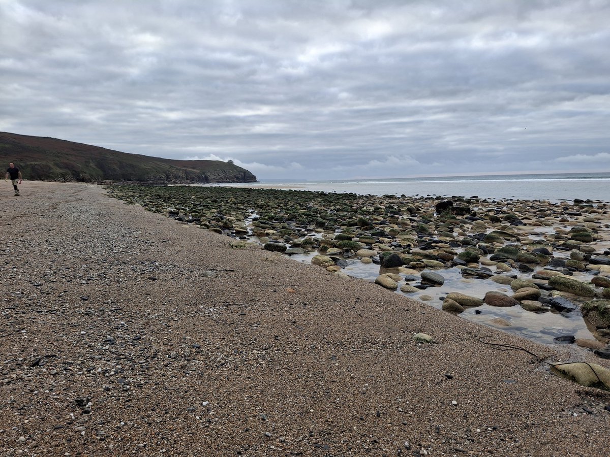 Kathryn (ObjectiveEd)🎨🌊 tweet media