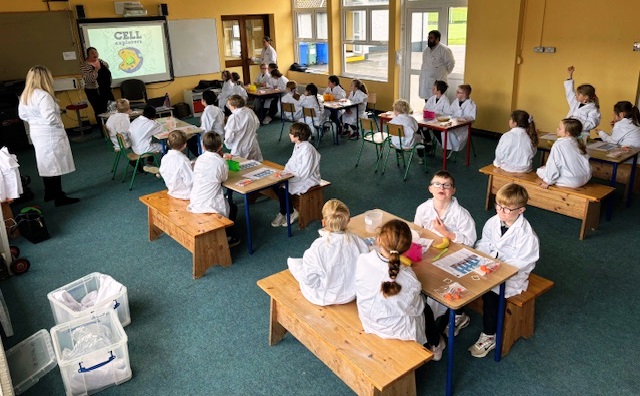 St. Clare's National School tweet media