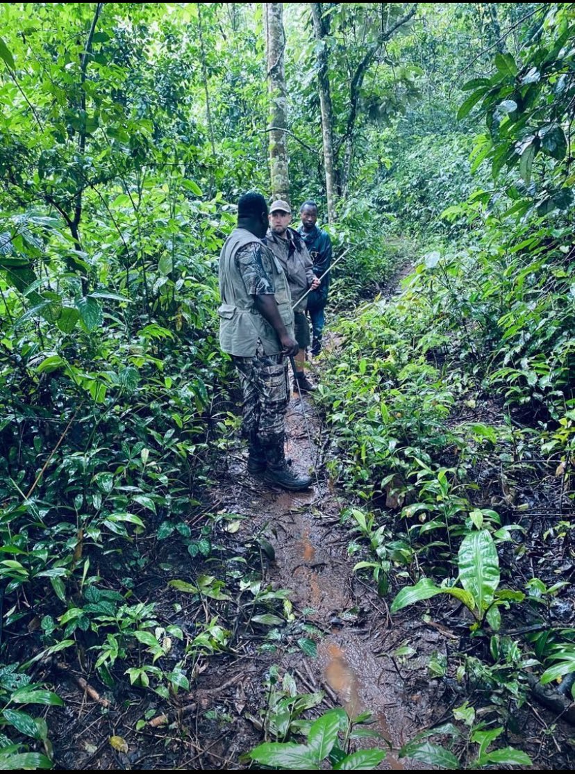 A Rocha Uganda tweet media