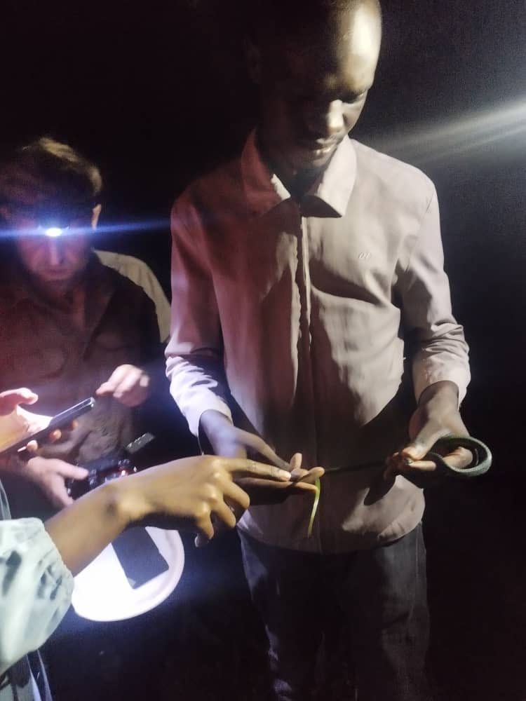 We are conducting a snake survey, an assessment of the snake diversity and distribution within the West Bugwe Forest. To inform people on ways of co-existence with snakes and advocacy to government to provide the relevant snake-bike treatment services. #arochainternational