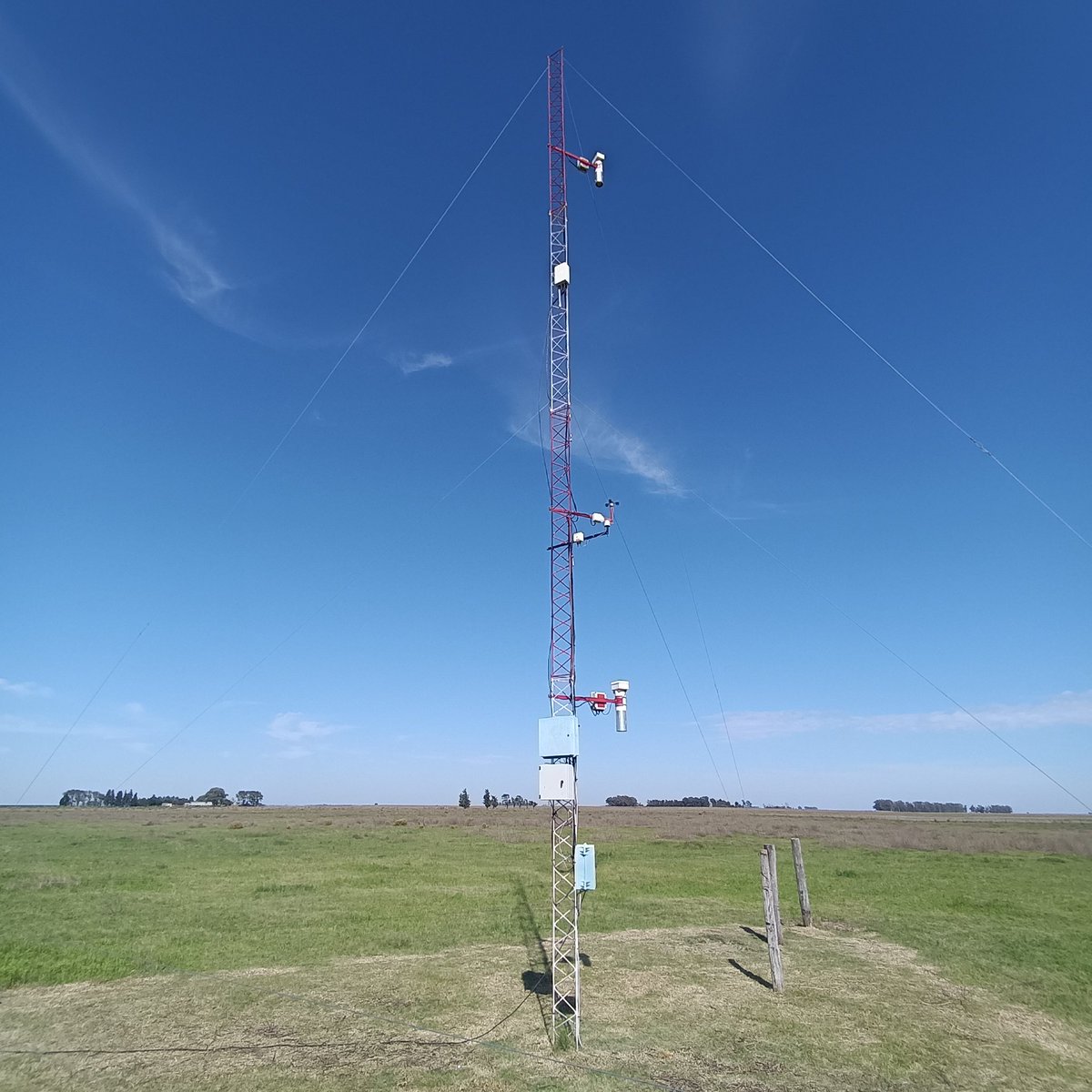 Ing Agr Alex HUGHES tweet media