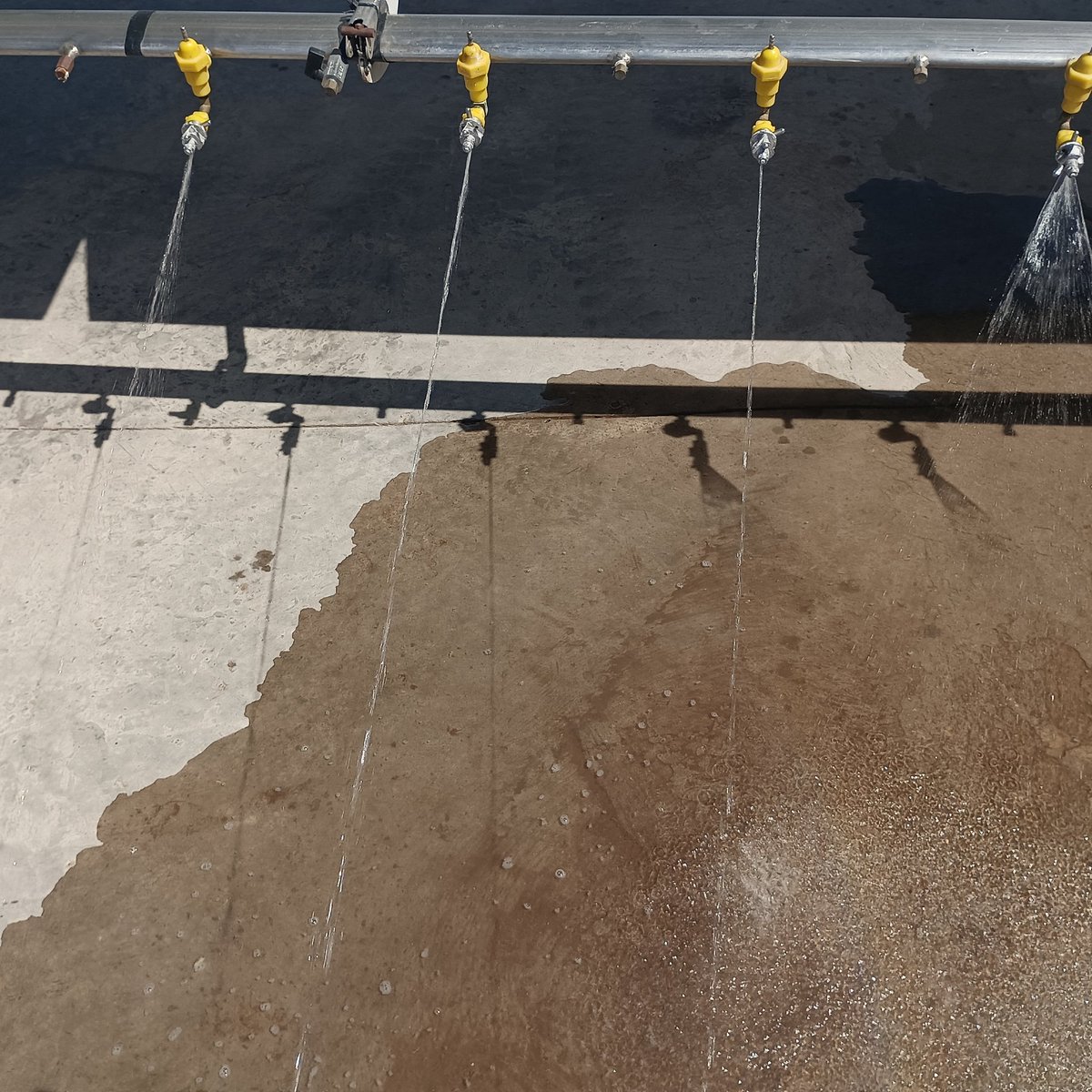 Ing Agr Alex HUGHES tweet media