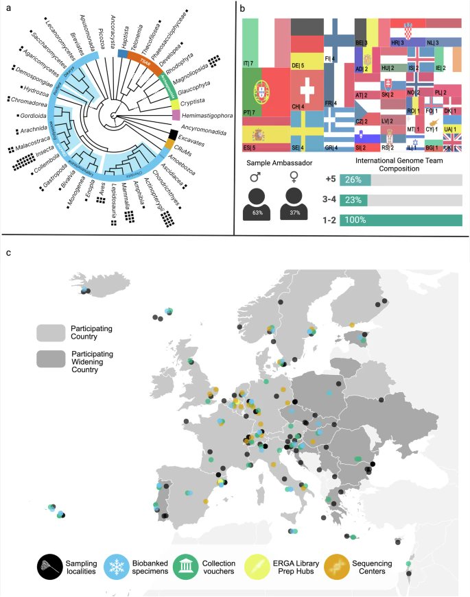 NL Inst of Ecology (@niooknaw) on Twitter photo New publication: The European Reference #Genome Atlas: piloting a decentralised approach to equitable #biodiversity genomics, by <a href="/KvanOers/">Kees van Oers</a> and others. #genomics #eukaryote #sequencing
doi.org/10.1038/s44185… New publication: The European Reference #Genome Atlas: piloting a decentralised approach to equitable #biodiversity genomics, by <a href="/KvanOers/">Kees van Oers</a> and others. #genomics #eukaryote #sequencing
doi.org/10.1038/s44185…
