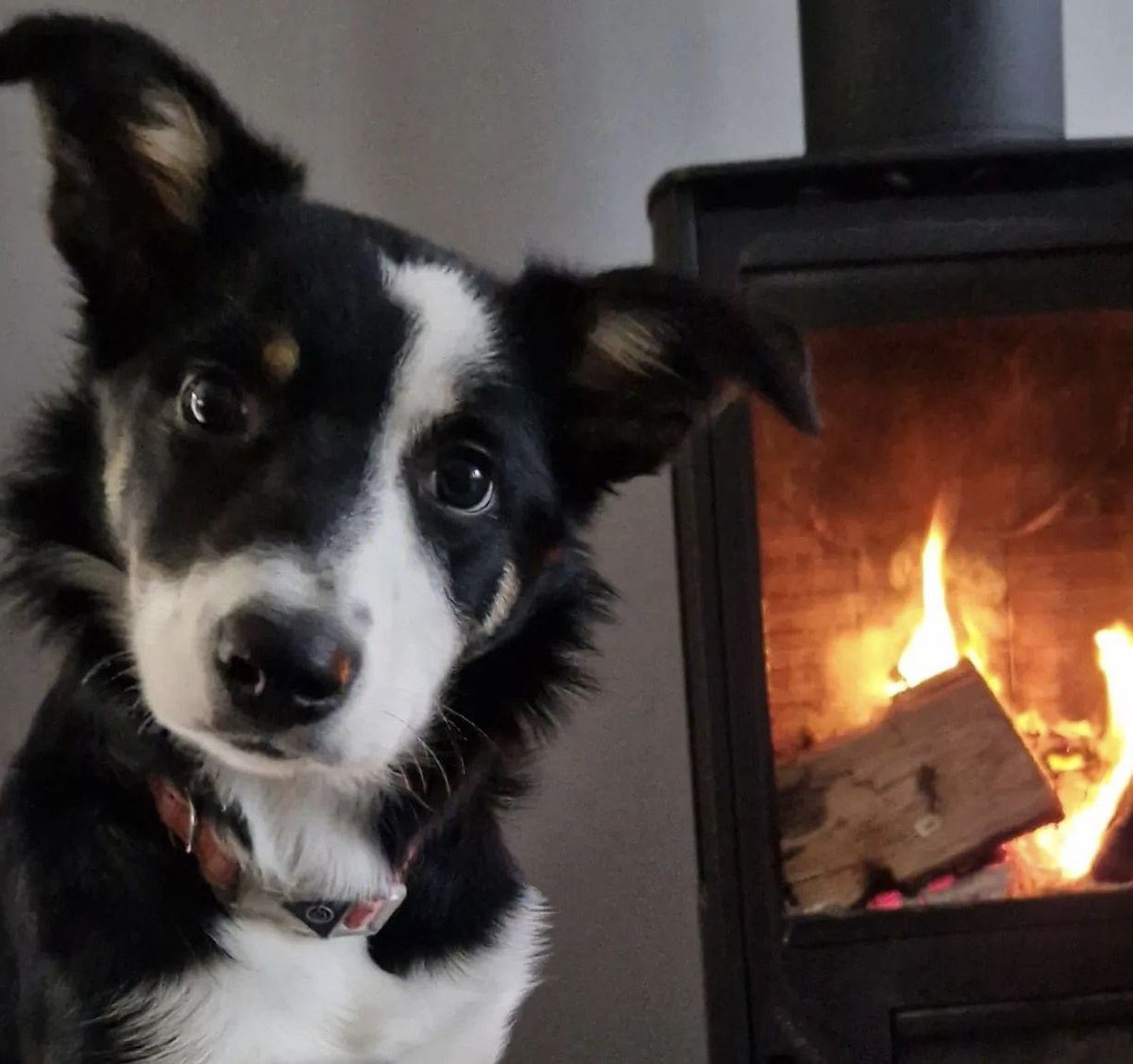 🔥We know many farming and crofting families are worrying about the cost of heating their homes this winter and we have increased our Help for Heating grants to £400 this year. 
If you know someone who works in, or is retired from, agriculture and may be struggling with costs