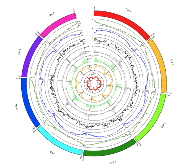 1/4 Breakthrough in berrygenomics! We've completed the chromosome-scale assembly of blackcurrant Ribes nigrum, as the first Ribes species. This opens doors to genetic improvements for nutrition &amp; stress resilience.  
academic.oup.com/hr/advance-art…