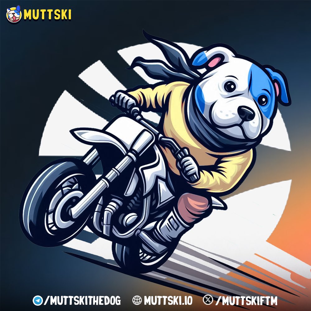 The ride from #fantom to #sonic is as thrilling for #Muttski as it is for you. The paw-some doggo is ready for the adventures to come, in full swag🐶💥
$ftm $S