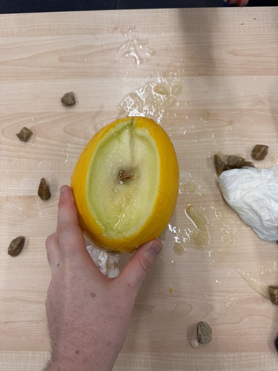 Mr Gallacher tweet media