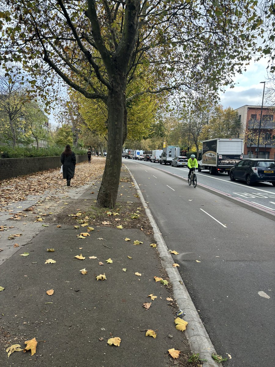 Please to confirm that much of the leaf build up has been cleared from Cycleway 4 in Bermondsey. Thank you for sorting this 🍁🍁🍁 

Sadly many pavements are still leaf strewn - I’ll be following up on this! 

Exhibit A 👇