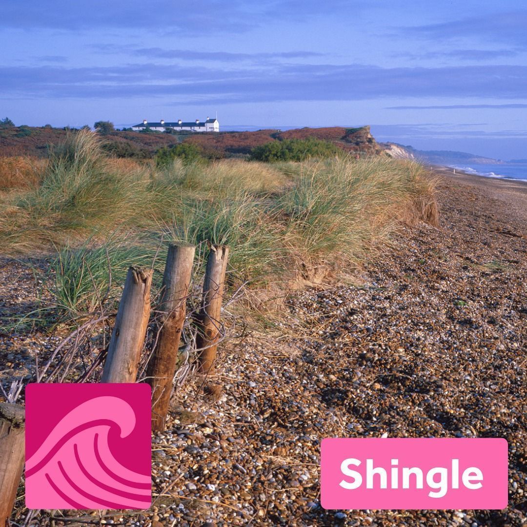 Suffolk & Essex Coast & Heaths National Landscape tweet media