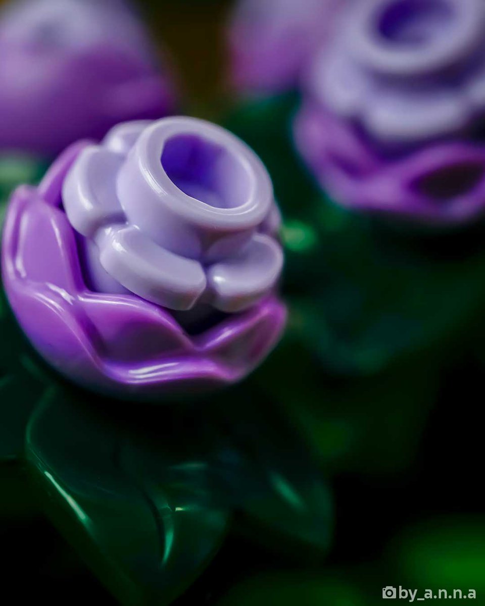 LEGO® IDEAS tweet media