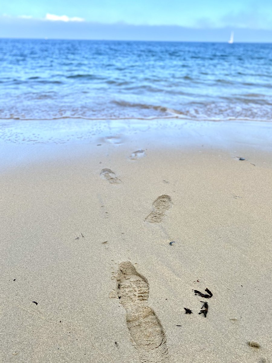 TRACE.
Le nom est bien trouvé.
C’est effectivement ce qu’il reste après cette énorme gifle à la figure de nos enfants.

#urbanisme #zan #TRACE #environnement #aménagement #climat #sols #habitat #Nantes