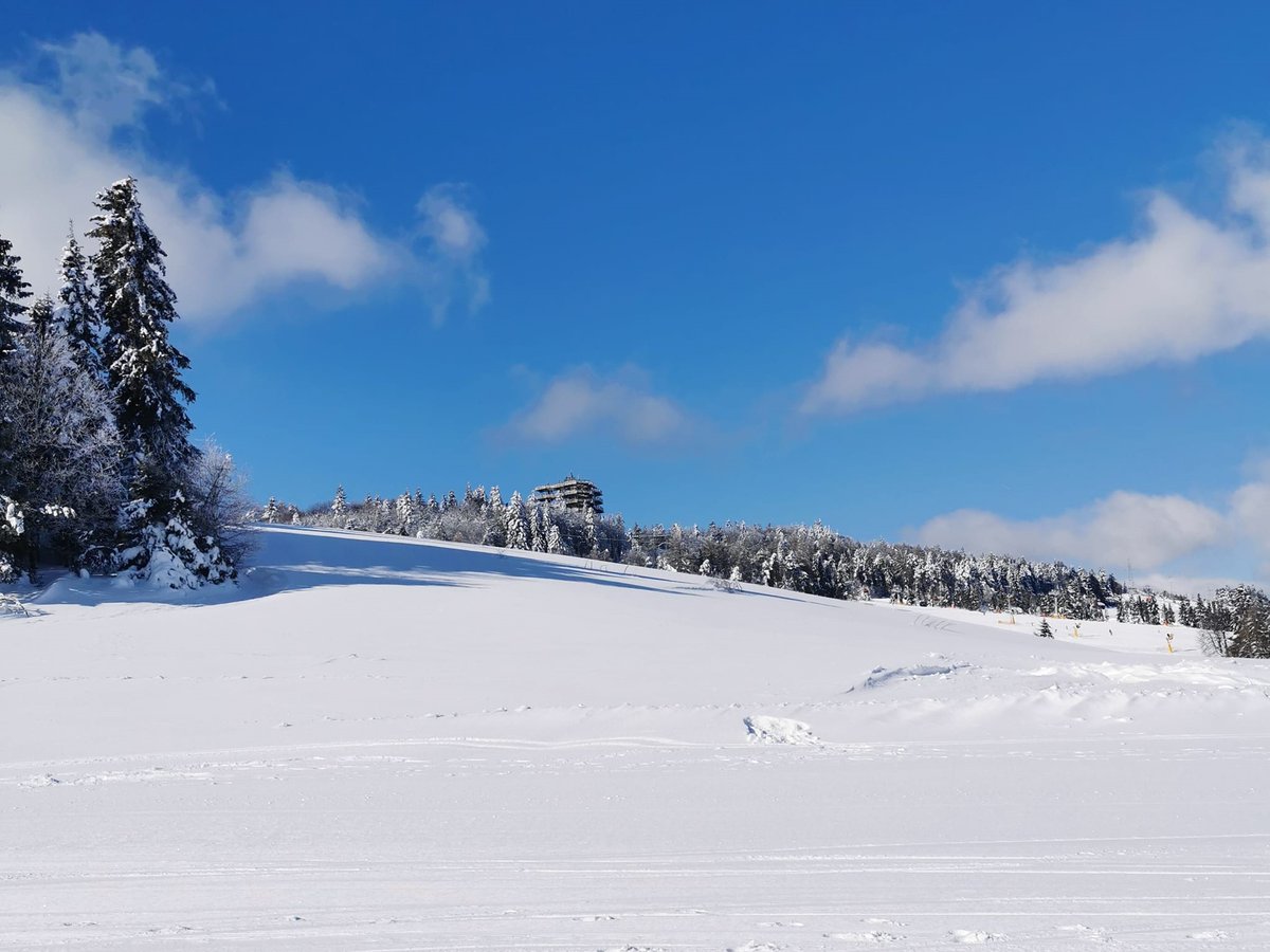 Gregoxide's tweet image. Having some quality Friday time