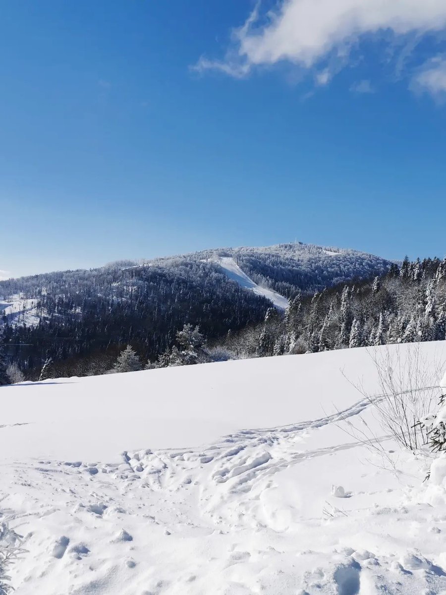 Gregoxide's tweet image. Having some quality Friday time