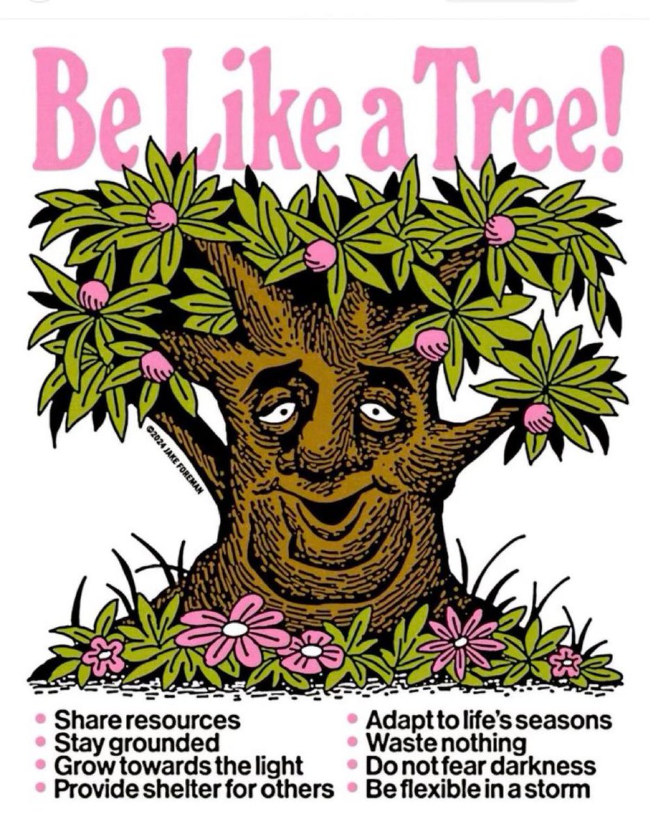 thematrixwizard's tweet image. 