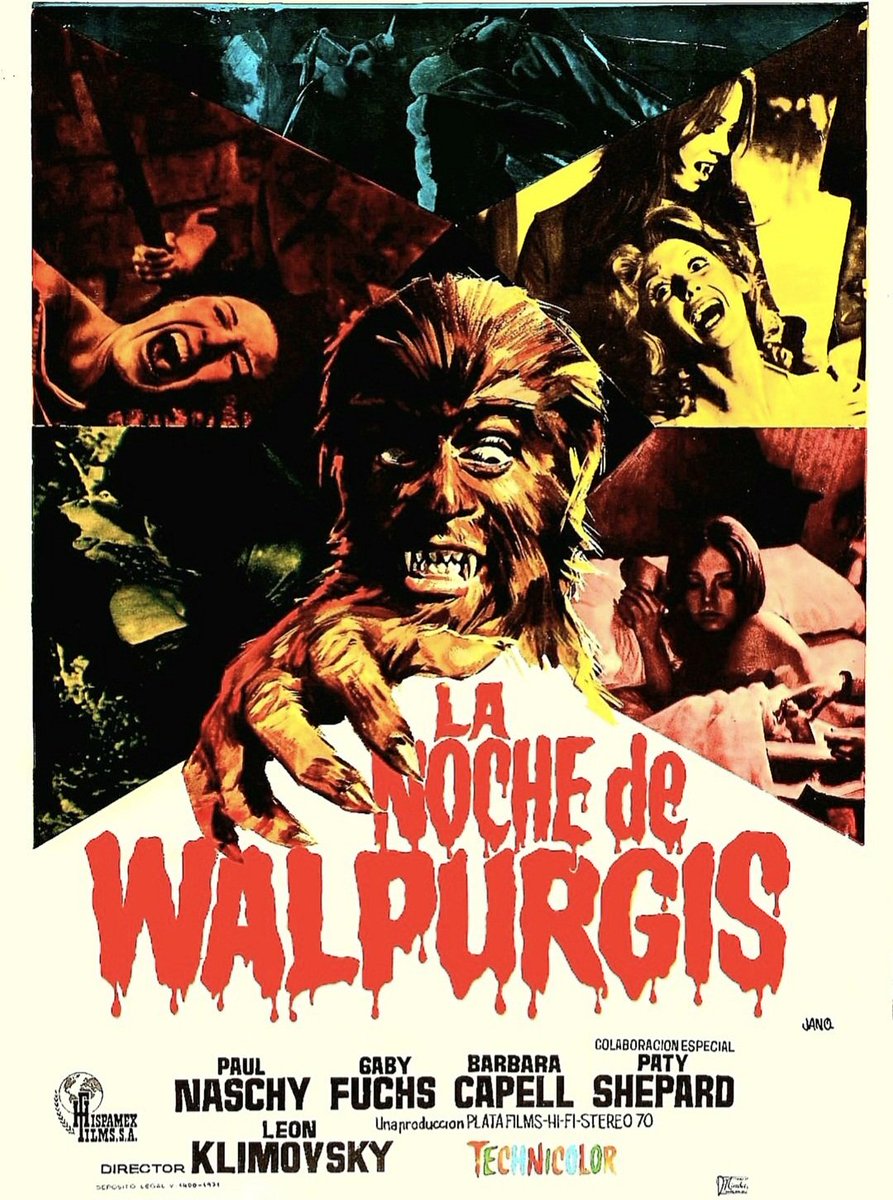 The Werewolf vs the Vampire Woman. 1971. Fur fights fang in one of Spanish horror hero Naschy's finest. Europulp gold. Bloodsucker Shepard's a knockout.
#horrorcommunity #horrorfamily #horrormovie #horrorfilm #horrorfam #classichorror #horroraddict #horrorfan #mutantfam #horror