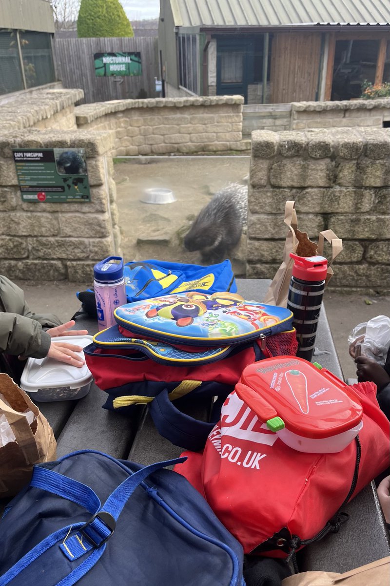 Year 2 ⁦<a href="/STPHILIPSCE/">St Philip's CE</a>⁩ are enjoying learning about the different types of animals and their habitats at Ponderosa. Though not sure that eating next to the porcupines; was a good idea!