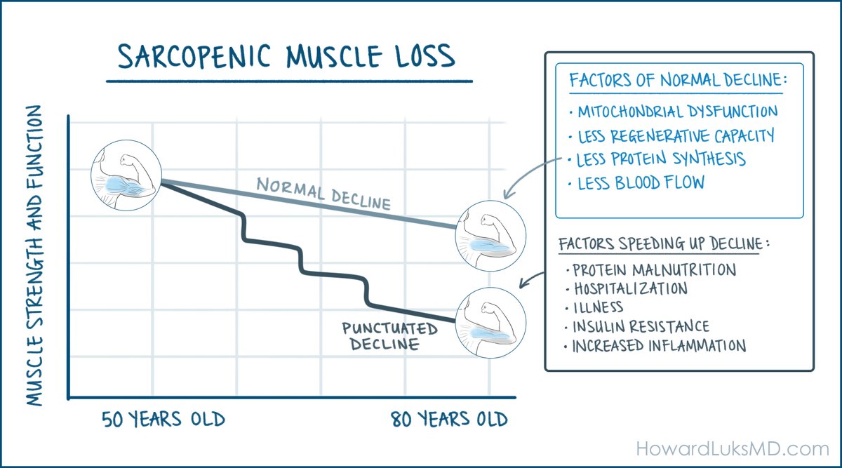 hjluks's tweet photo. Preventing the punctuated decline of muscle mass has so many advantages. Especially since the factors that result in an accelerated decline of muscle mass and function also accelerate most of the NCDs that lead to our gradual and early decline.
Exercise remains the most important lever we can pull to combat the enemies of our healthspan.