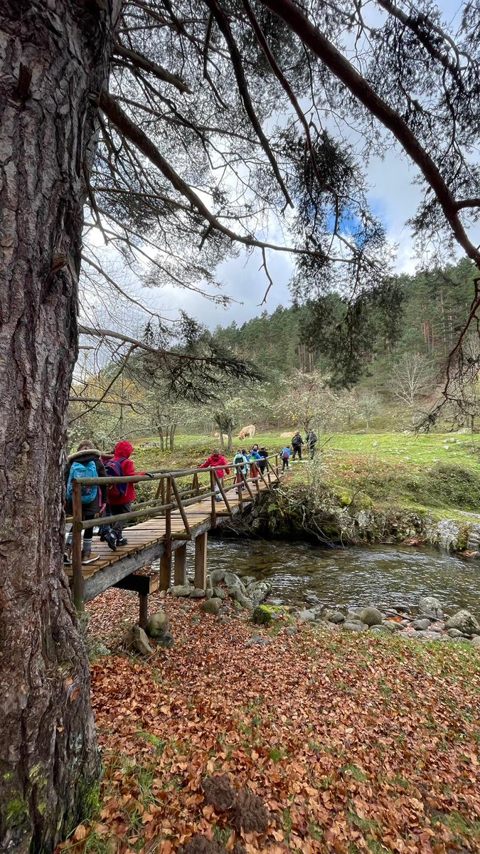 pasealarioja's tweet image. ¡Ponemos fin a las #excursiones escolares de otoño!🍂

¡Gracias a todos los centros educativos que habéis formado parte de los paseos interpretativos y de "Agente Forestal por un día"!

¡Volvemos el 7/04 con las #excursiones!
🎒Las inscripciones se reabrirán el 17/02.