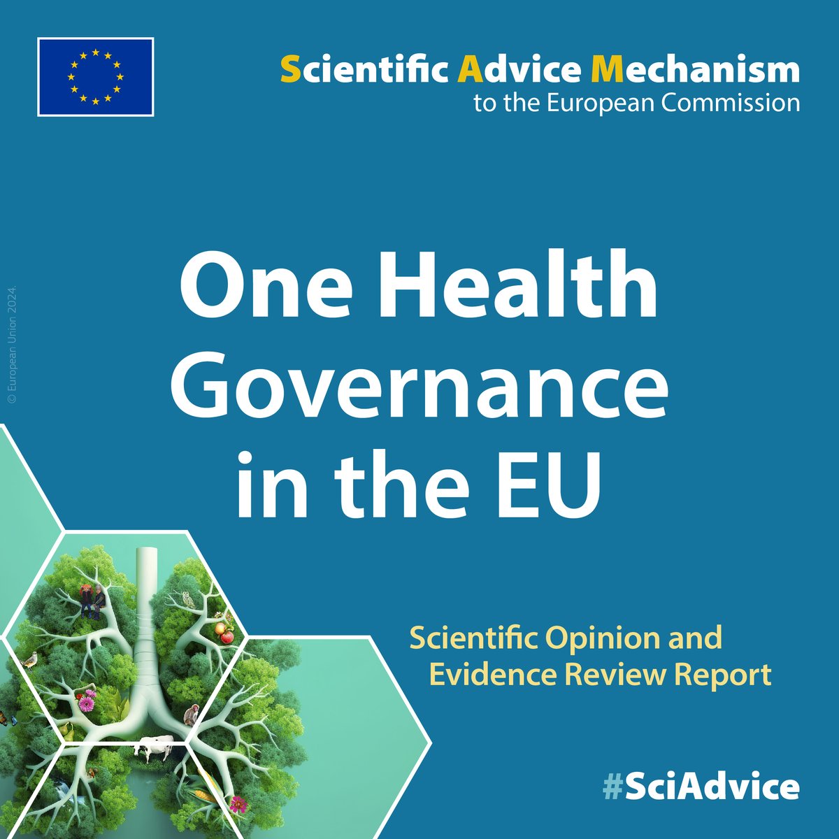 MPILheidelberg's tweet image. 📢 @EUScienceAdvice has released new recommendations on the One Health approach in the EU!

Top scientists urge the @EU_Commission to adopt integrated health policies, connecting human, animal, plant, &amp;amp; environmental health. 🌍

w/ #MPIL's @Saskia_Stucki

scientificadvice.eu/advice/one-hea…