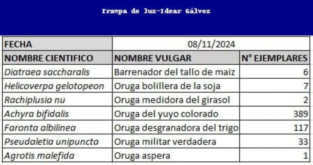 IDEAR Galvez tweet media