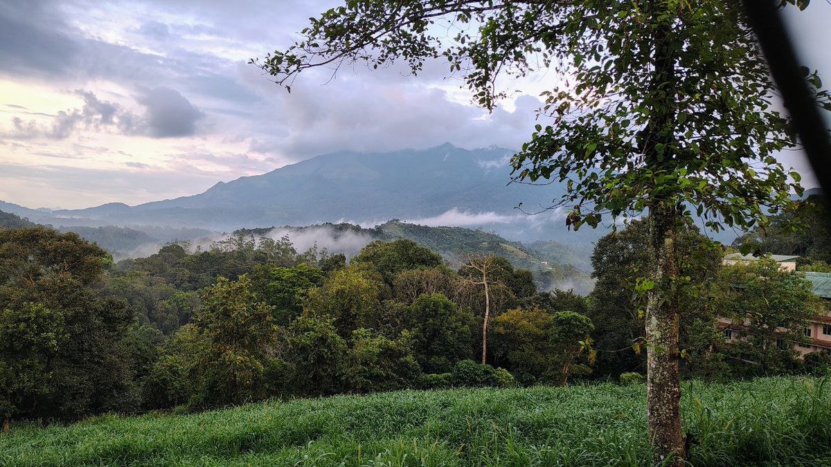 OpenDataKerala tweet media