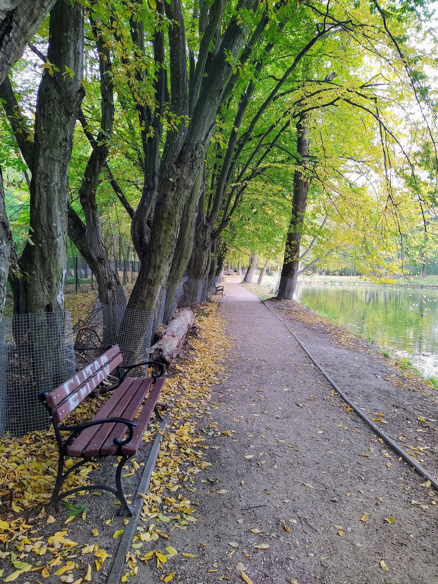 Let's share what impresses us 🍂

Sometimes you have to travel a long way to find what is near.
~ Paulo Coelho ~

🍂Happy Weekend. 

📸 By me 🍂