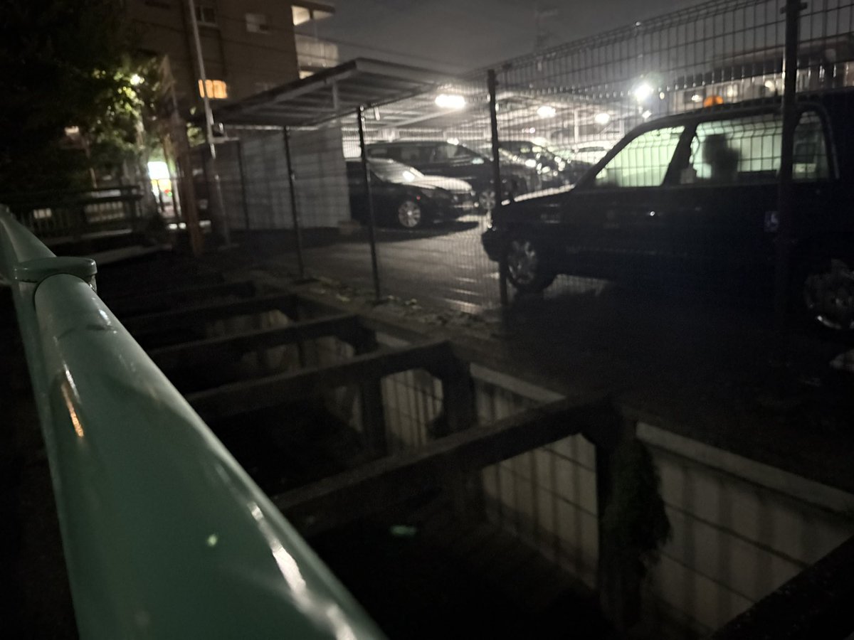 えかきうお tweet media