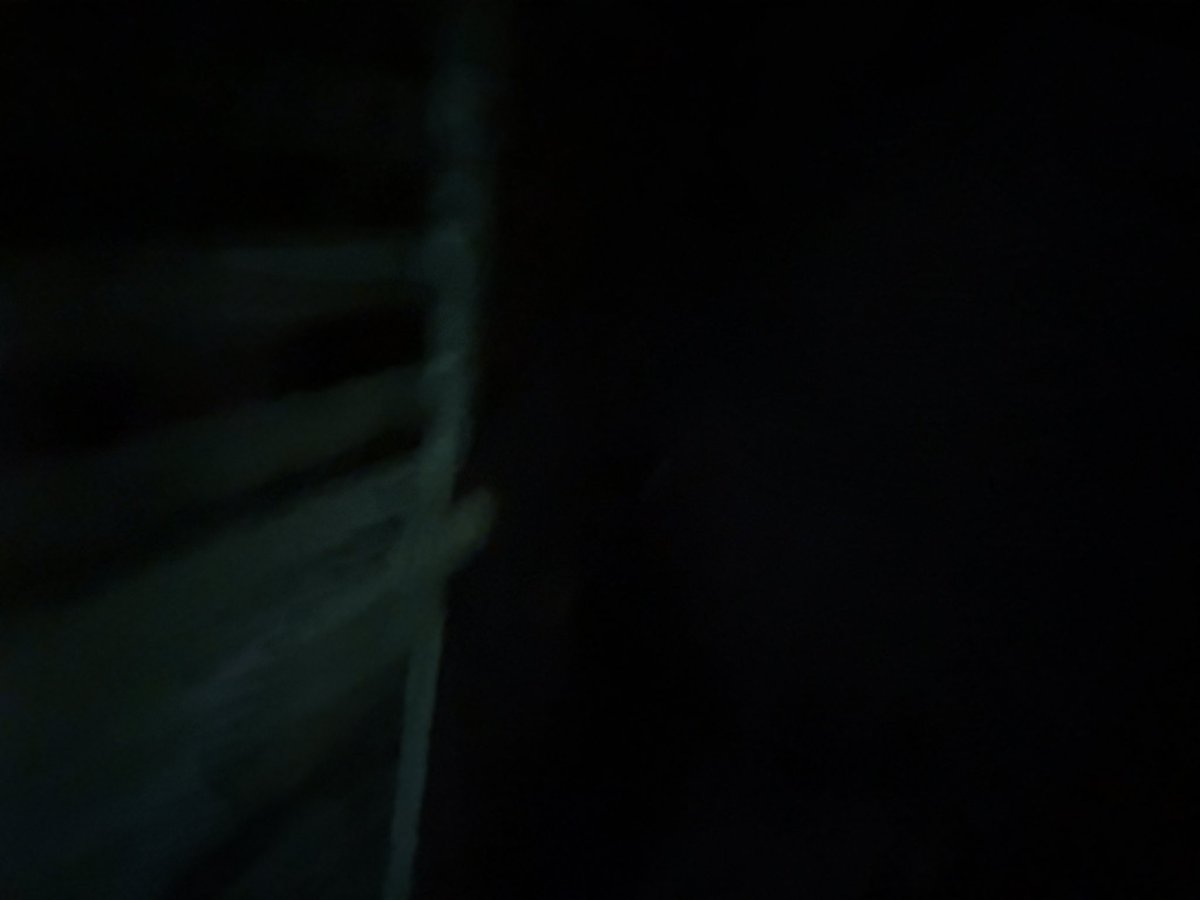 えかきうお tweet media