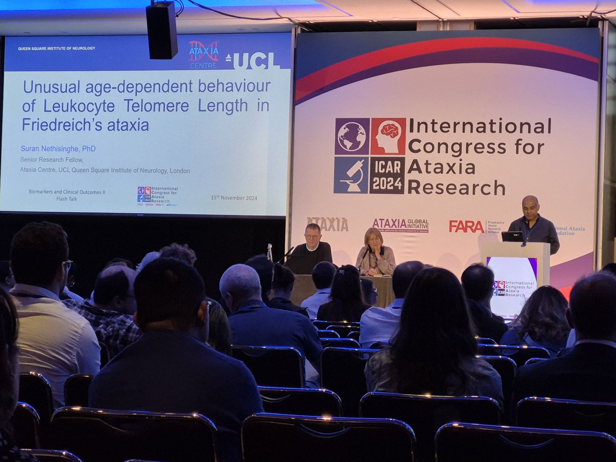 Dr Julie Vallortigara tweet media